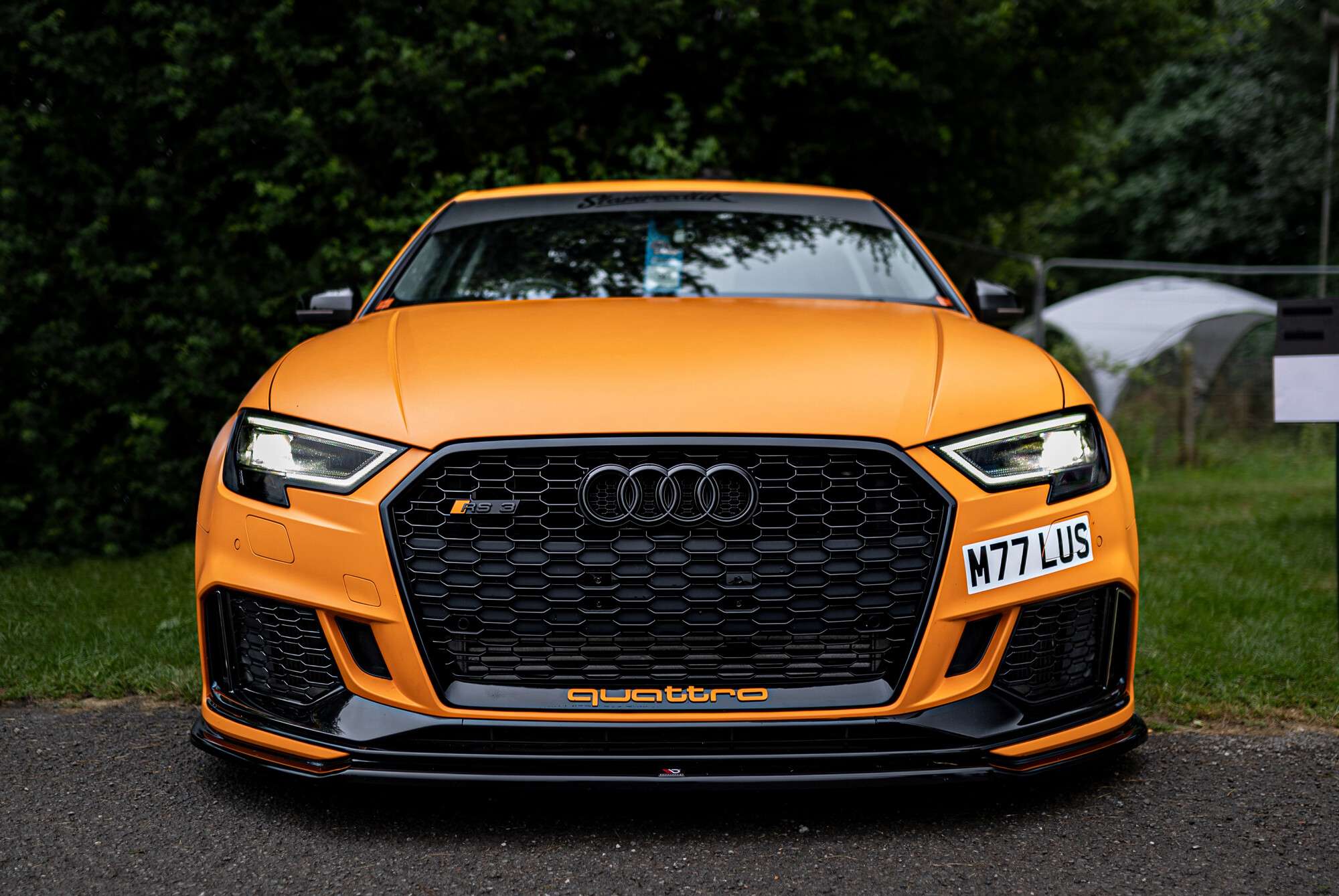 Consultar el VIN de un Audi: guía de historial y servicios