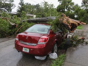 car hit by a tree, car accident
